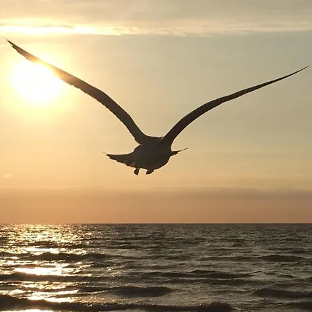 Ankerplatz Appartement Dierhagen